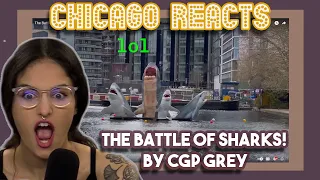 The Battle of SHARKS! By CGP Grey | First Time Reactions