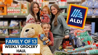 Shop With Me! Aldi Christmas Finds and Weekly Grocery Haul 2023🎄