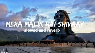 mera malik hai shivaay lofi song (slowed reverb) #lofi