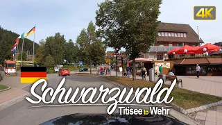 Driver's View: Driving through the Schwarzwald from Titisee to Wehr, Germany🇩🇪