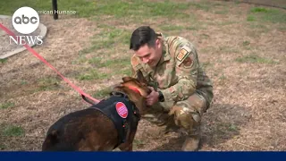 Retired military dog reunites with previous handler