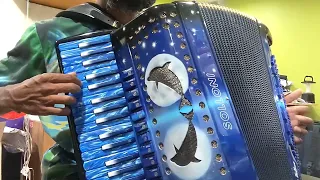 My Favorite Things (Accordion) - Sound of Music