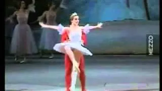 Nutcracker Grand pas de deux  Bolshoi Ballet  Erek Muhamedov