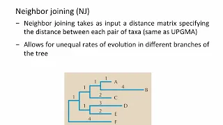 Phylogenetics - Distance Methods (UPGMA, NJ)
