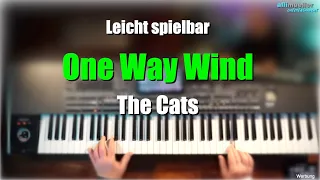 KORG Pa1000/4X - "One Way Wind" - The Cats # 800