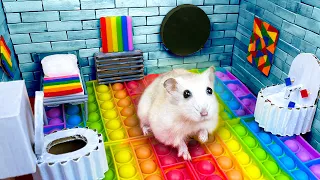 Hamster Sophie #6 🐹 Hamster Escapes the Pop It Maze for Pets in real life