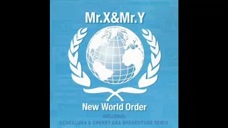 Mr. X & Mr. Y - New World Order