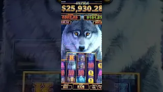 Wolf Ultra is a monster