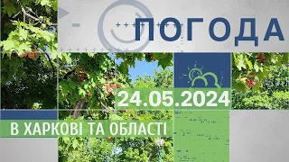 Прогноз погоди в Харкові та Харківській області на 24 травня