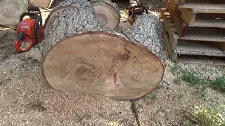 CUTTING LARGE MAPLE FIREWOOD WITH SMALL HUSQVARNA 440, CAN IT DO IT???