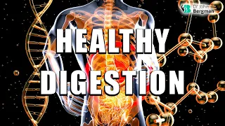 Healthy Digestion, The Key To Regeneration