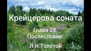 Л.Н.Толстой. Крейцерова соната. Глава 28. Послесловие.