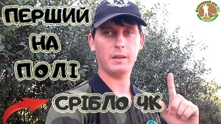 Коп по старині. Знайшов ЧЕРНЯХІВСЬКЕ СРІБЛО на полі. Пошуки з металошукачем ХР Деус в Україні