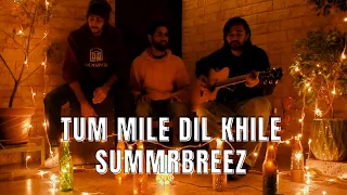 Tum Mile Dil Khile Cover | SummrBreez | #YTShorts | Alka Yagnik | Kumar Sanu | Hindi Song | #Shorts