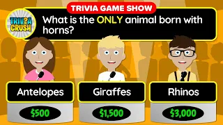 👉 Today's Best GENERAL KNOWLEDGE Daily Trivia Quiz - Unique Game Show Format | Apr. 28, 2024