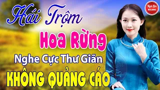 Hái Trộm Hoa Rừng, Đường Tím Bằng Lăng ✪ LK Nhạc Vàng Xưa Toàn Bài Hay Bất Hủ Nghe Cực Thư Giãn