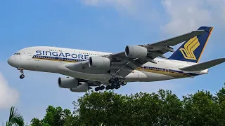 Singapore Airport Plane spotting 🇸🇬 Rush hour, Big airplane , Heavy landing/take off