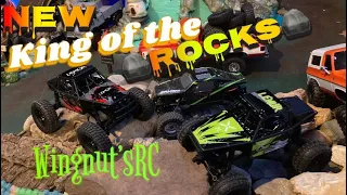 NEW rock crawler review, FMS LEMUR vs AXIAL AX24!!! The results may surprise you…