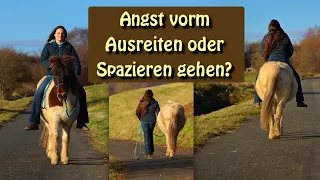 Ausreiten oder Spazieren gehen mit deinem Pferd sicher meistern | Reiten ohne Angst | Angstreiter