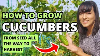 The Ultimate Cucumber Grow Guide:  From Seed To Harvest #cucumber #garden #gardeningtips #homestead