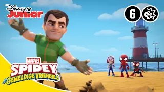 🏖️ Zandman deelt niet! | Spidey | Disney Junior BE