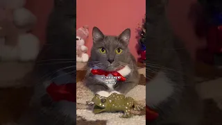 С НОВЫМ ГОДОМ! 😺