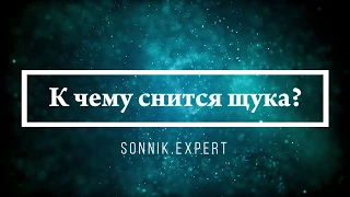 К чему снится щука - Онлайн Сонник Эксперт