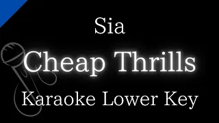 【Karaoke Instrumental】Cheap Thrills / Sia【Lower Key】