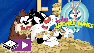 Baby Looney Tunes | Das unheimliche Keksmonster | Cartoonito