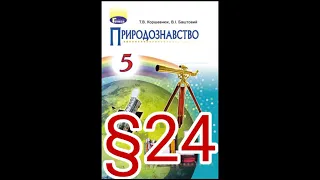 24 "РУХИ ЗЕМЛІ. ПОРИ РОКУ"/5 КЛАС ПРИРОДОЗНАВСТВО//КОРШЕВНЮК