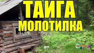 ВРАЖЬЯ ЗЕМЛЯ  МОЛОТИЛКА  ТАЙГА