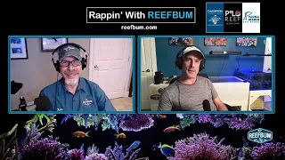 Rappin' With ReefBum: Guest Adam Derickson, Battlecorals