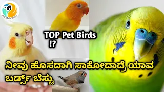 ಮನೇಲಿ ಸಾಕೋದಕ್ಕೆ ಯಾವ 🦜ಬರ್ಡ್ಸ್ ಬೆಸ್ಟು 👍| Top Pet Birds in Kannada🐤|🌟ಸಂಪೂರ್ಣ ಮಾಹಿತಿ|