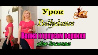 Восточные танцы видео Урок Одно движение Волна корпусом верхняя