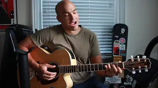 Surly Joe cover (full version)