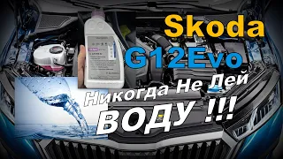 Skoda: G12evo Никогда Не Лей В Него Воду!!! (2023)