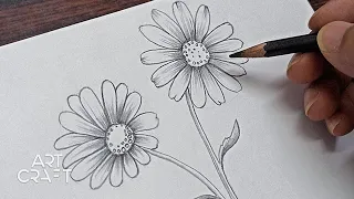 Beautiful Daisy Flowers Drawing, Super Easy