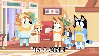 Bluey is a girl. (read desc)