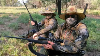 GUNNERS ADVENTURE THE GREAT MITCHELL PIG HUNT!!!! PUMA ROSSI 357 & 44MAG! 12G SHOTTIES! 300WM & 270!