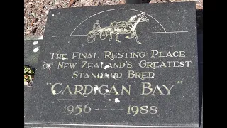 Cardigan Bay - the world's first $1,000,000 pacer