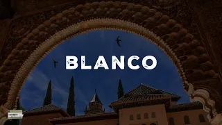 Dancehall Riddim Instrumental 2024 ~ "Blanco"