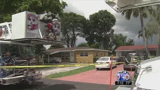 Man helping neighbor trim tree fatally electrocuted