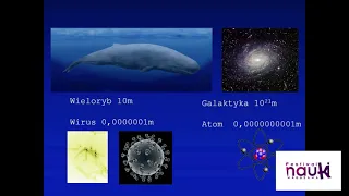 "Po co biologowi fizykochemia, czyli jak chemik i fizyk patrzą na życie"