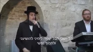 מוטי שטיינמץ ריבון העולמים הנני בידך בביצוע מדהים כולל מילות השיר