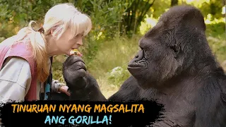 40 Taon Tinuruan ng babae ang Gorilla Magsalita Magugulat ka sa naging resulta!