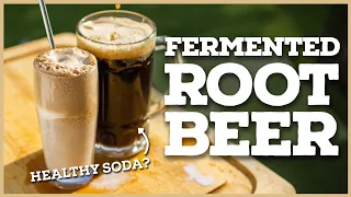 FERMENTED ROOT BEER: How to Make Homemade Soda with a Ginger Bug