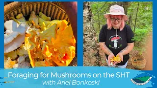 Foraging for Mushrooms on the Superior Hiking Trail