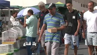 عصافير نادرة في المزاد يتغير لونها كلما ازداد العمر.. إطلالة على سوق الطيور بسوق المنصف باي