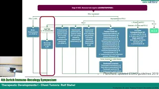 Immuno-Oncology Symposium, Therapeutic Developments I: Chest Tumors: Rolf Stahel