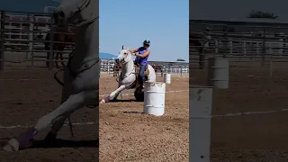 #nsca #omoksee #horse #rodeo #horseshow #western #westernriding #youtubeshorts #subscribe